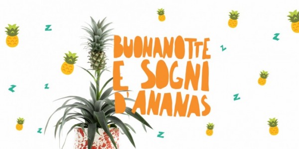 Smettere di russare? si può, con la pianta di ananas! 