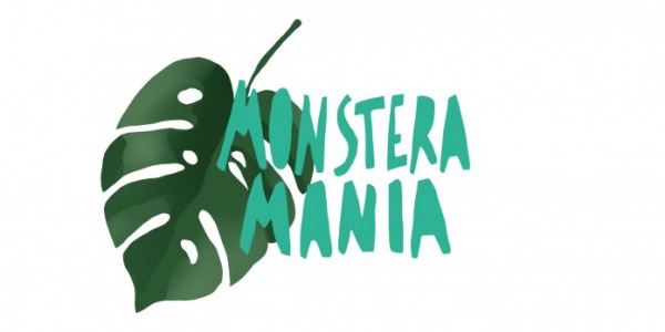 Filodendro Monstera deliciosa: conosciamola meglio!