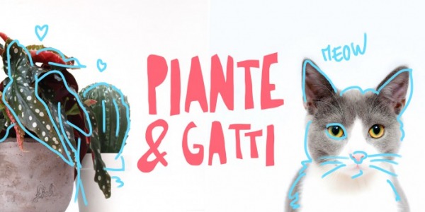 Convivenza tra piante e gatti: non è solo un sogno!
