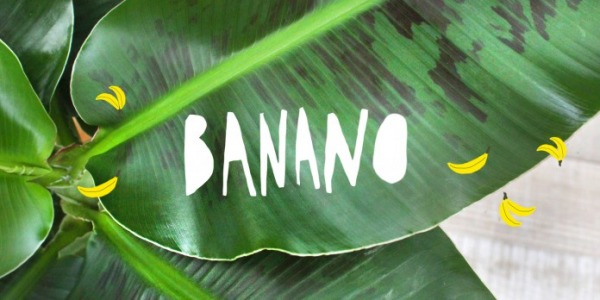 Come si coltiva la pianta di banano in appartamento