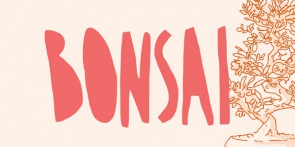 Come curare un bonsai