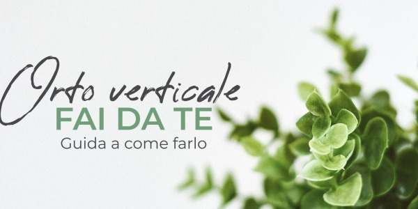 Orto verticale fai da te: Guida a come farlo