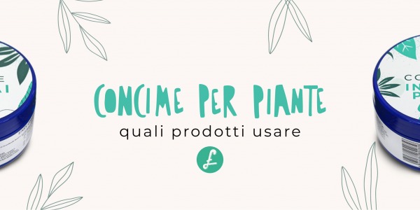 Concime per piante: Quali fertilizzanti e prodotti utilizzare